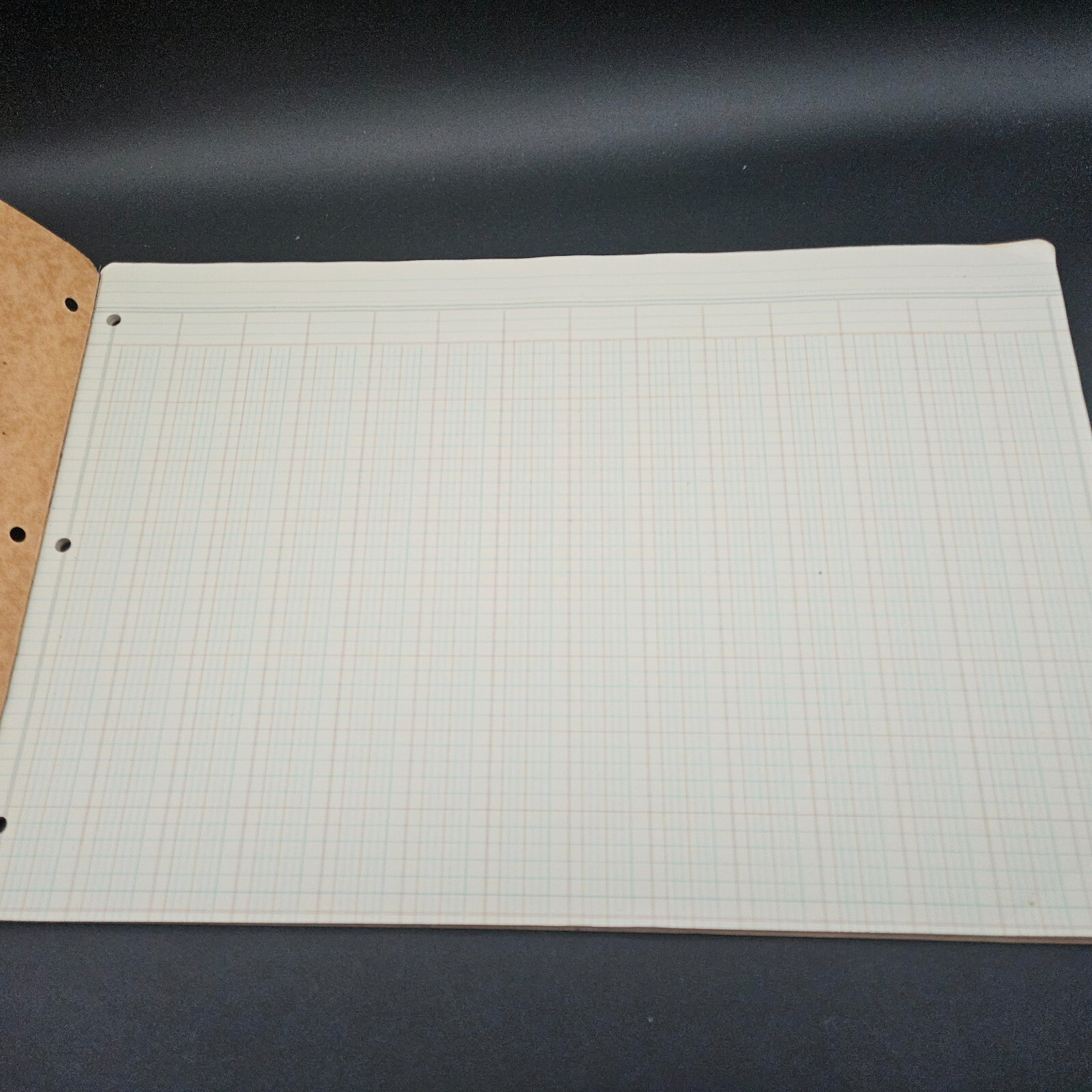Vintage National Columnar Pad 14 Column 5414 Punched 11 x 16 3/8 Analysis