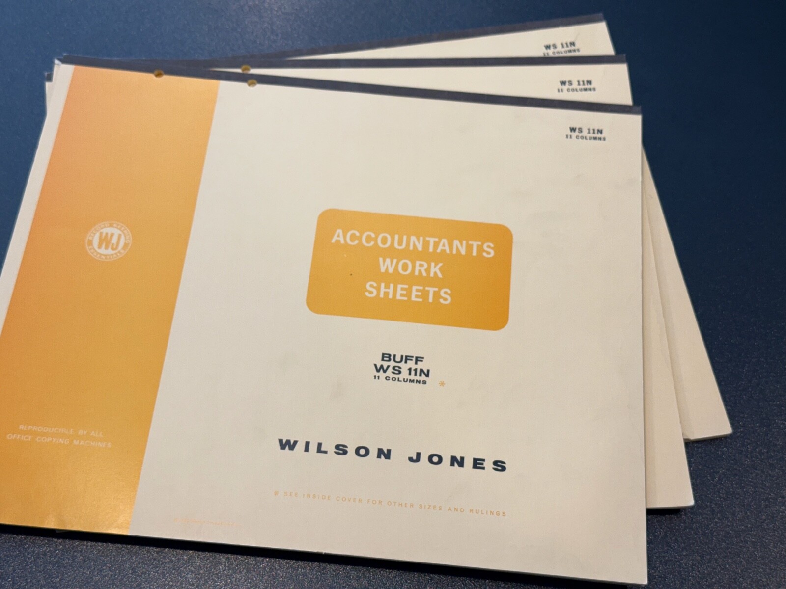 Wilson Jones Columnar Pad Accountants Worksheets, 14″ X 17”, 11 Columns, WS 12N