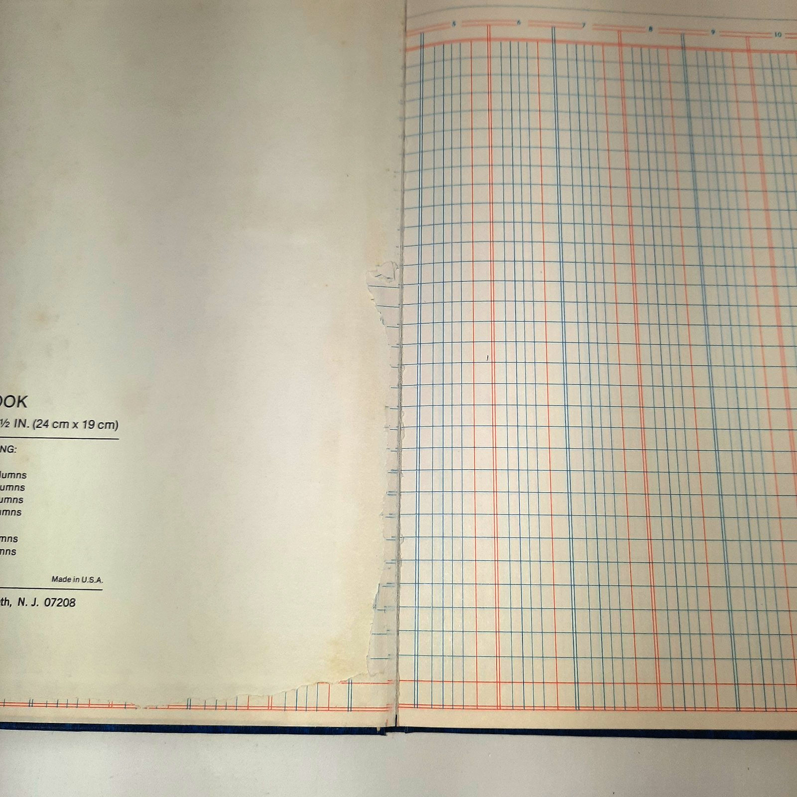 Vintage Blue Marbled 12 Columns Columnar Book Standard Boorum & Pease Company