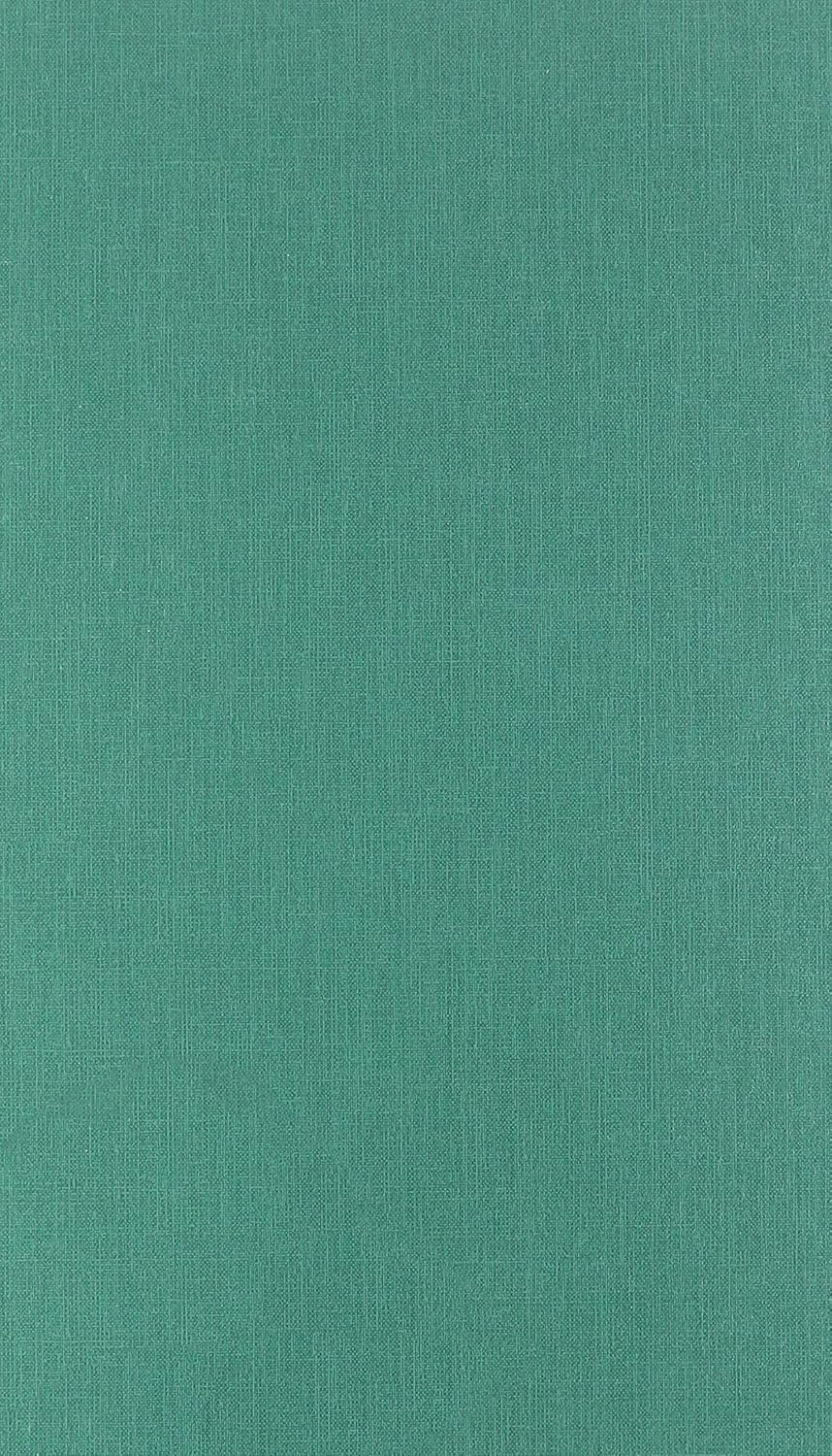 NATIONAL Emerald Series Record Book, Green Canvas Cover, 300 Pages, 12.125″ X 7.