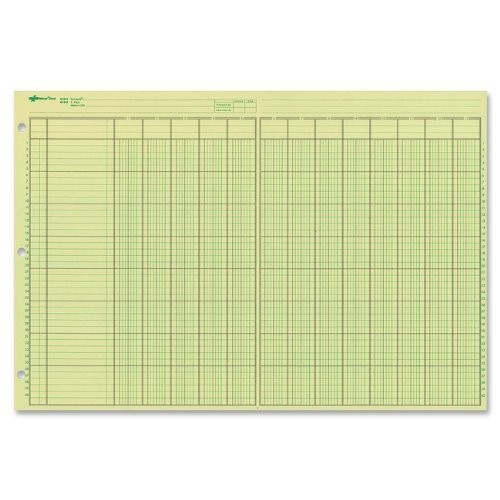 13-Column Analysis Pad – Green Eye-Ease Paper, Numbered Lines, Side-Punched, 50