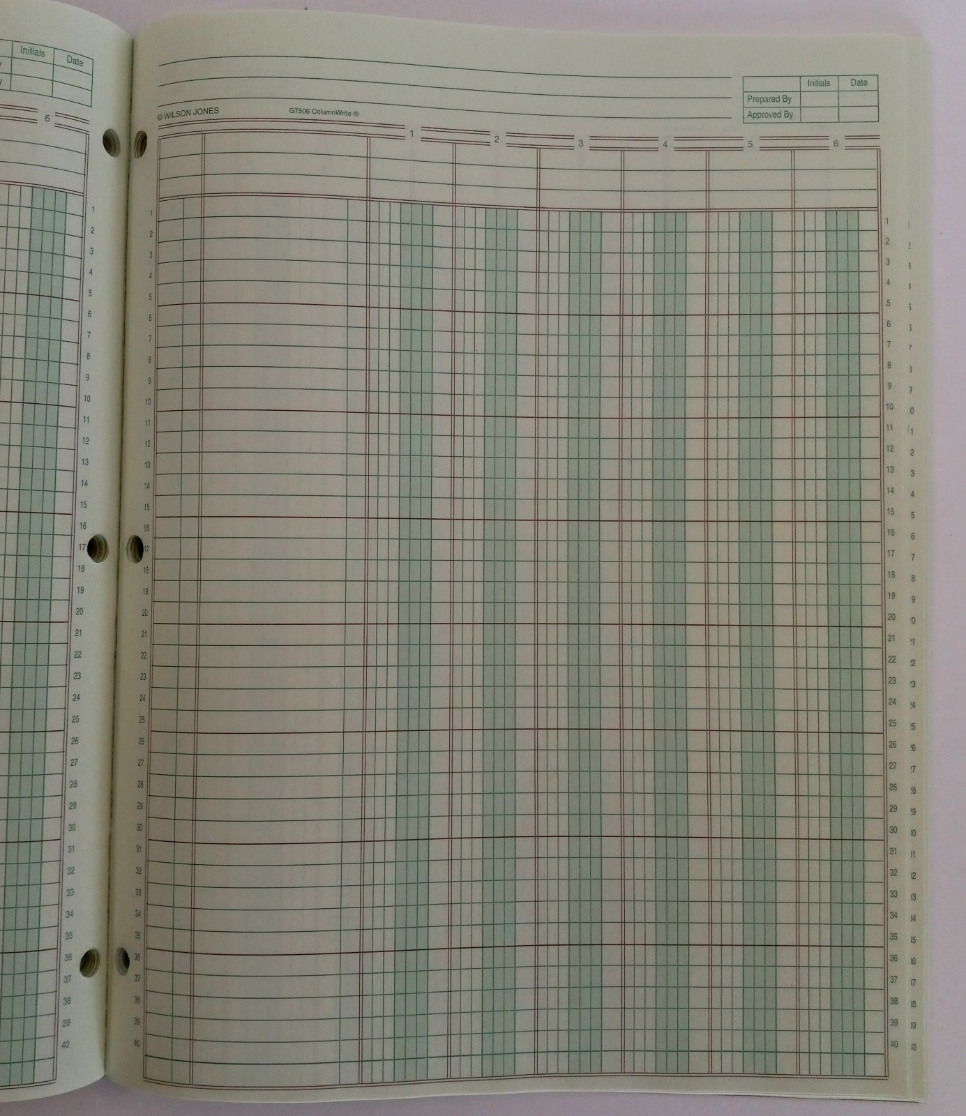 Ledger Pad 6 Columns 8.5 x 11 inch 50 Sheets Blank Lot of 2