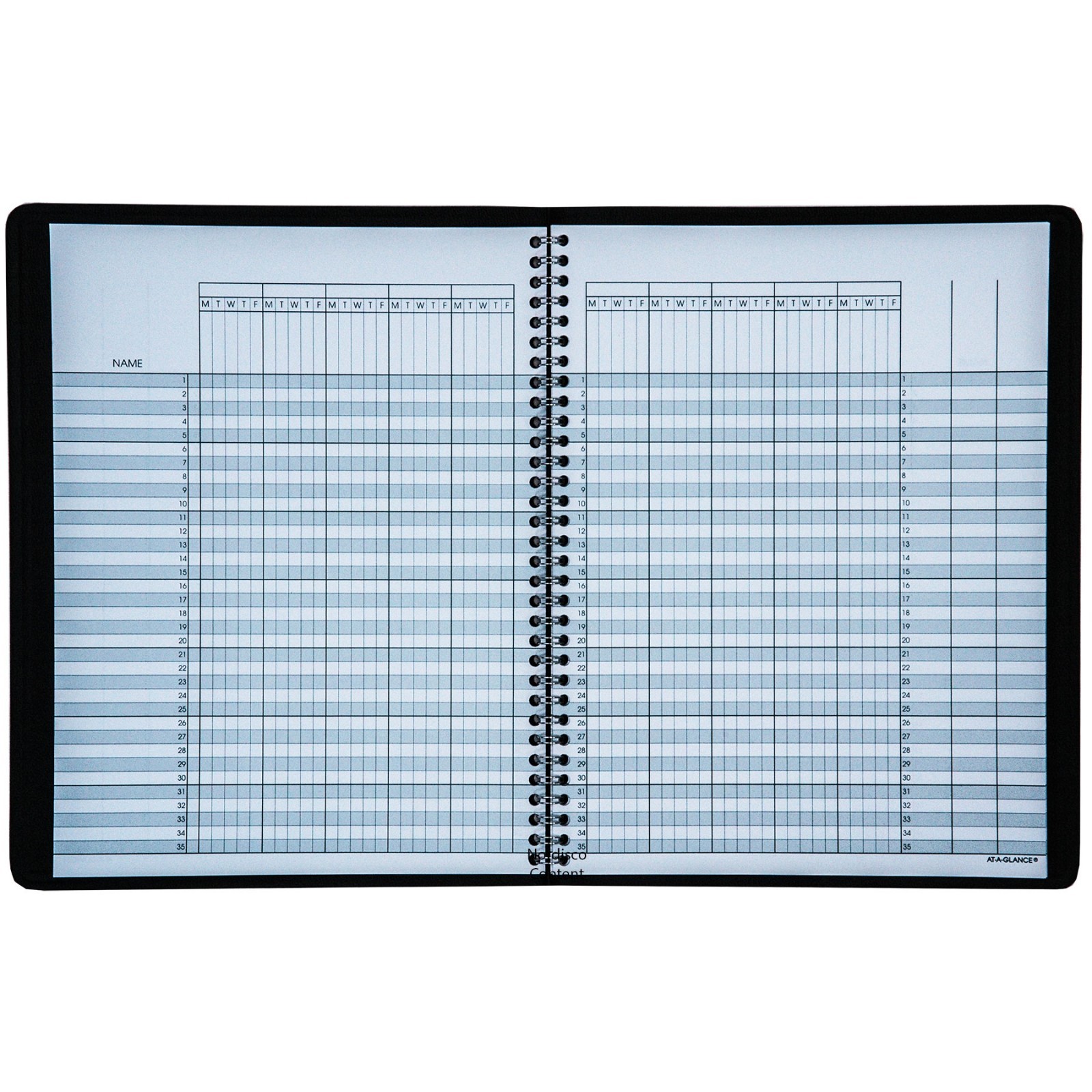 At-A-Glance 80-150, 80-150-05 Class Record Book, 8-1/4 x 10-7/8″