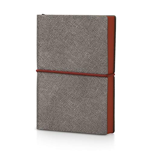 Ciaq 2019 Plus Metal Daily Diary, Graphite (Metallic Saffiano Cover)