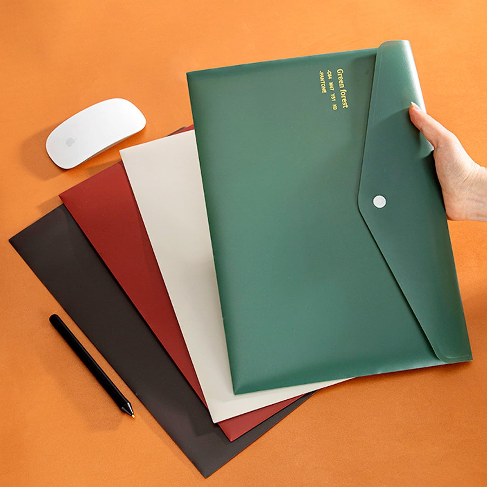 VANRA File Folders Letter Size 12 Pack Plastic Envelopes with 4 Colors