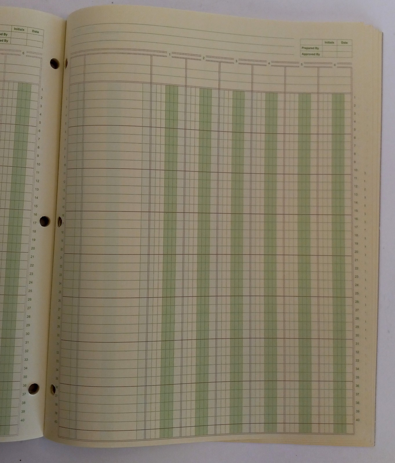 Ledger Pad 6 Columns 8.5 x 11 inch 50 Sheets Blank Lot of 2