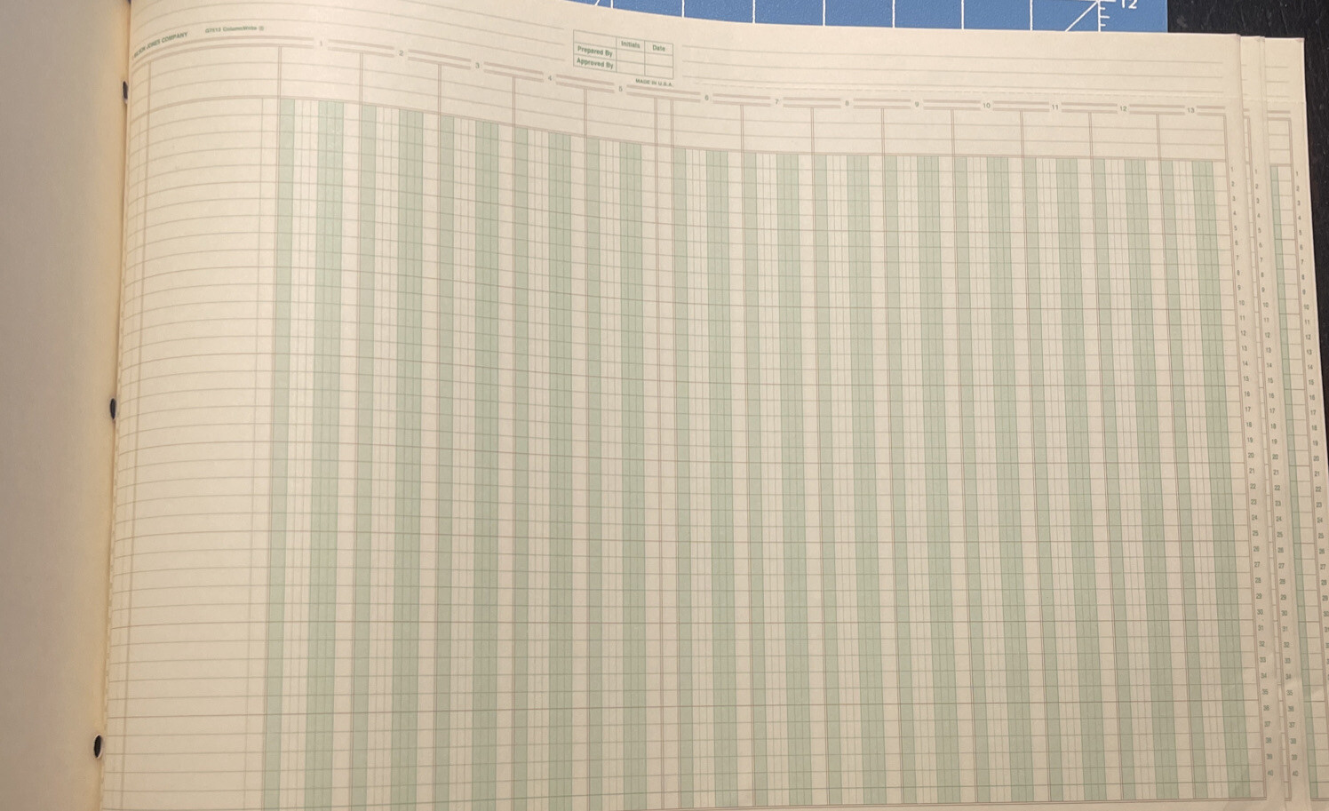 Wilson Jones Column Analysis, Columnwrite, 11″ X 16-3/8 , 13 Columns, 49 Sheets