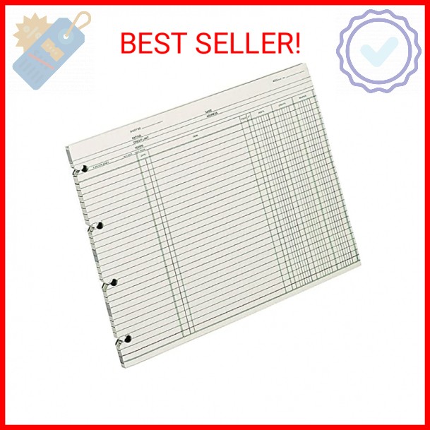 Wilson Jones Ledger Paper, Balance Ledger, 9-1/4″ x 11-7/8″, Green, 100 Sheets (