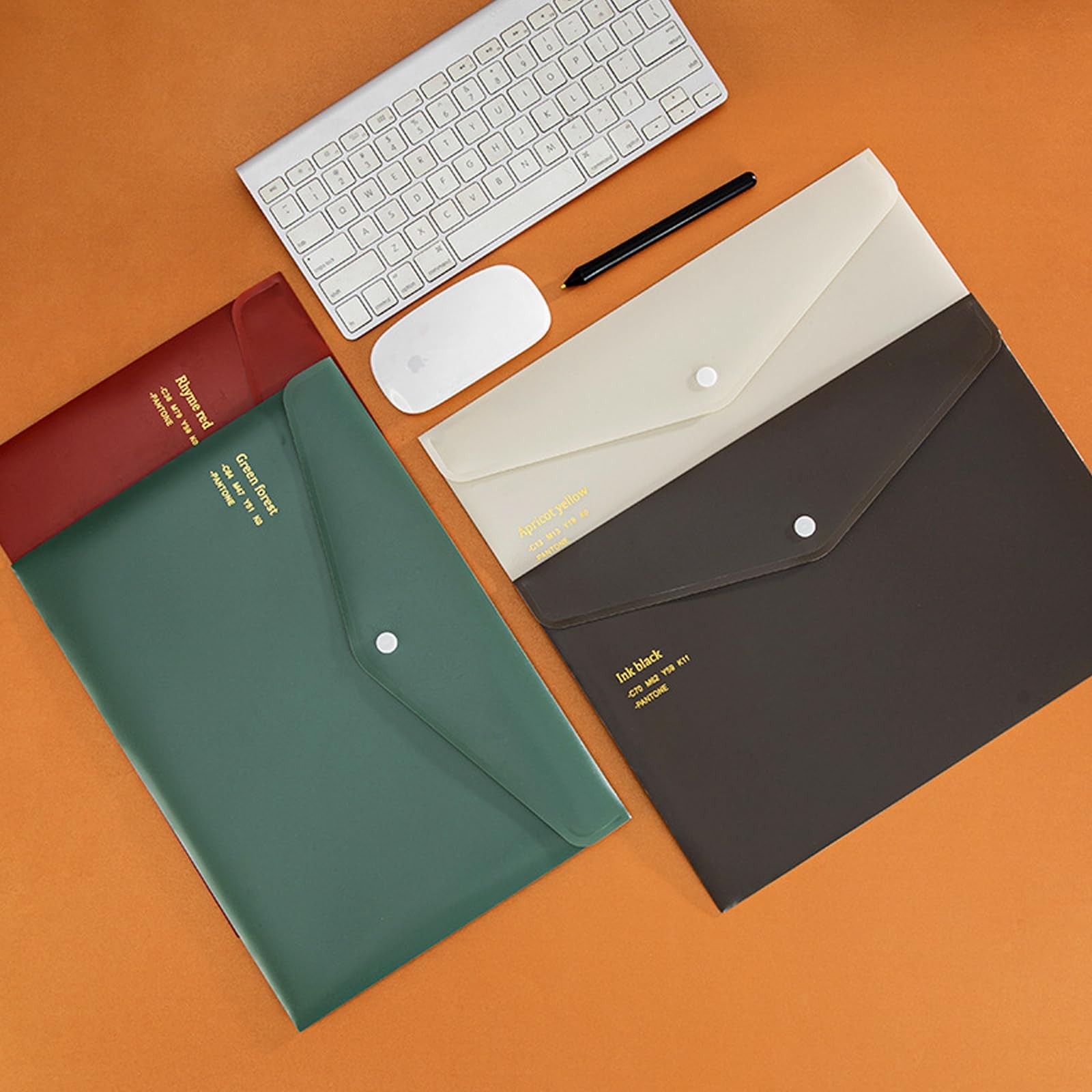 VANRA File Folders Letter Size 12 Pack Plastic Envelopes with 4 Colors