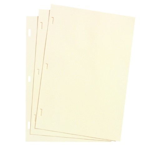 Wilson Jones WLJ901-10 Minute Book Refill Sheets IVORY 8.5 x 11 Letter 100 Count