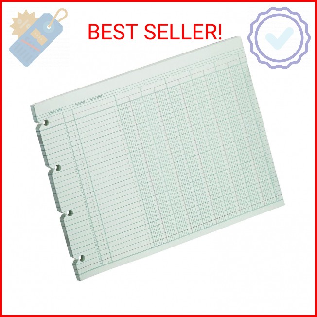 Wilson Jones G1010 Accounting Sheets, 10 Column, 9-1/4 x 11-7/8, Green (Pack of
