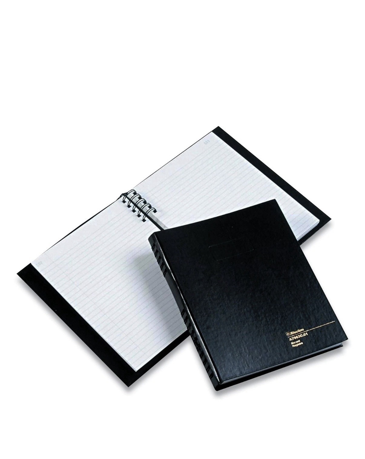 Blueline Accounting Record Book A7963C01 NEW