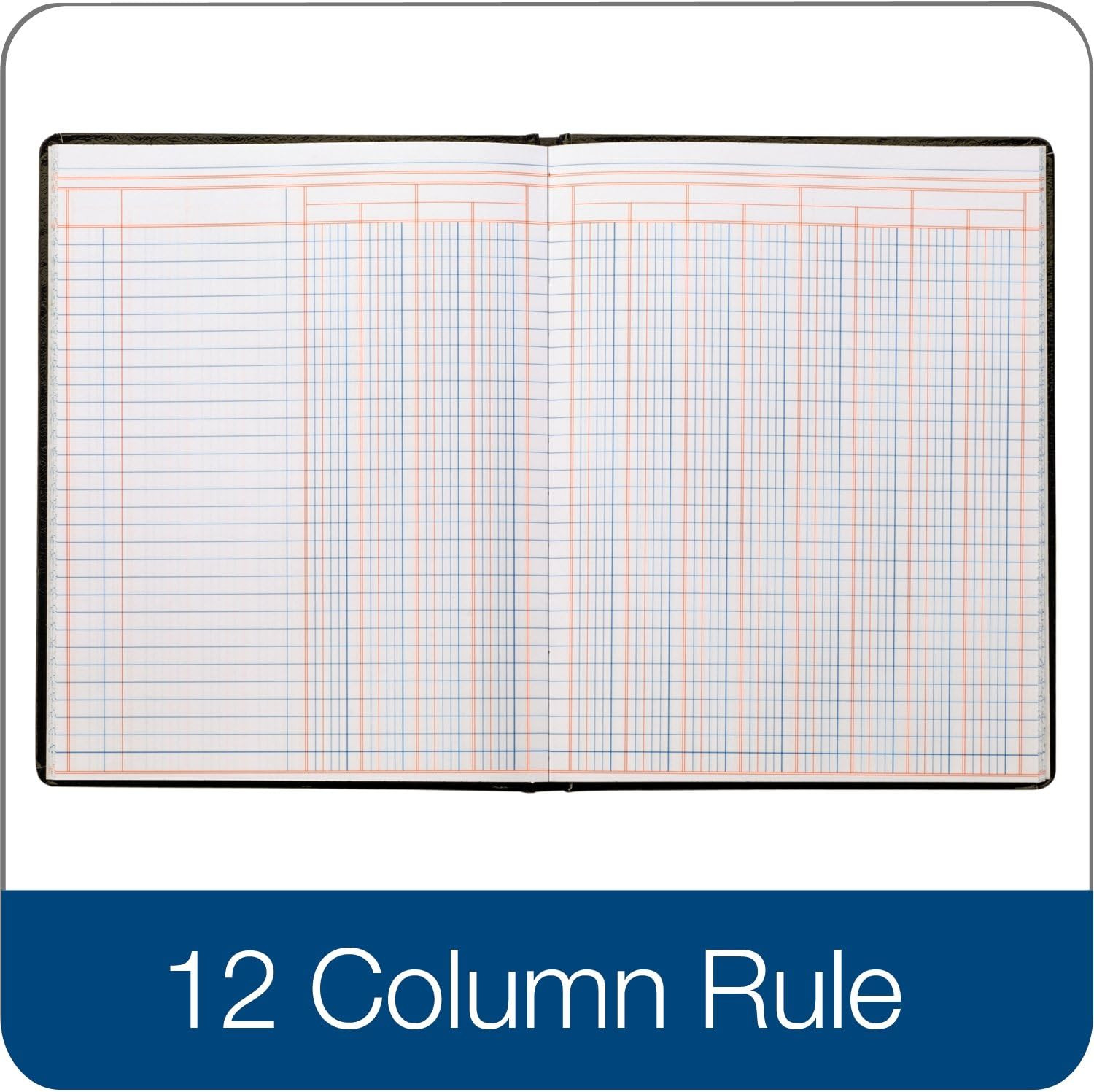 Account Book, 7 X 9.25 Inches, Black, 12-Columns, 80 Pages (ARB8012M)