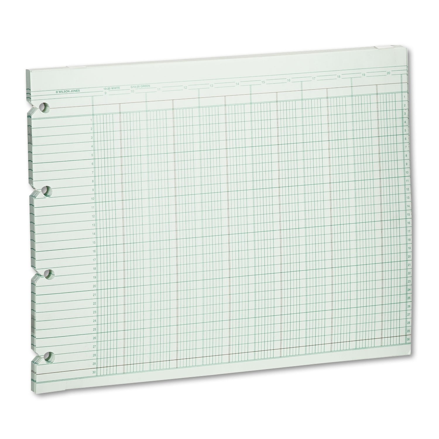 20 Column Accounting Sheets, 9-1/4 x 11-7/8, Green, Pack of 100 Loose Sheets