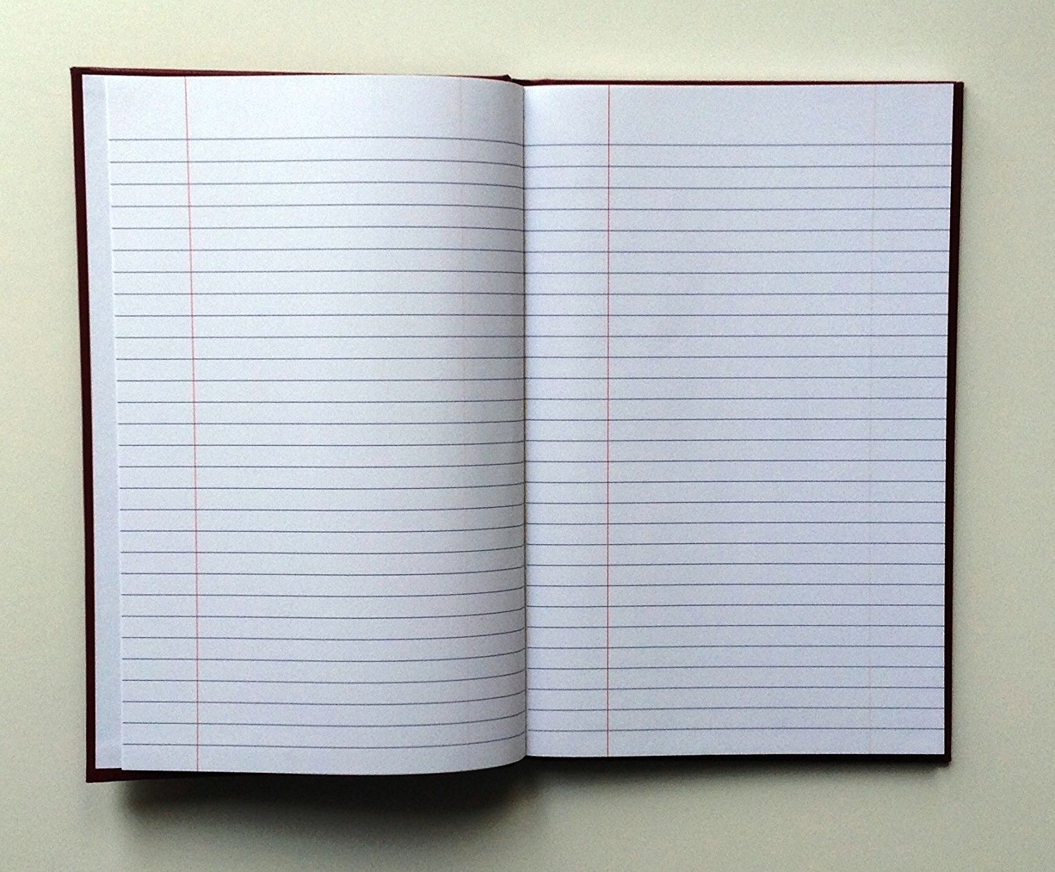 2 Mead Record Books (64516), 9-9/16 x 6-1/8 inches, 160 pages – 2 Books (colors