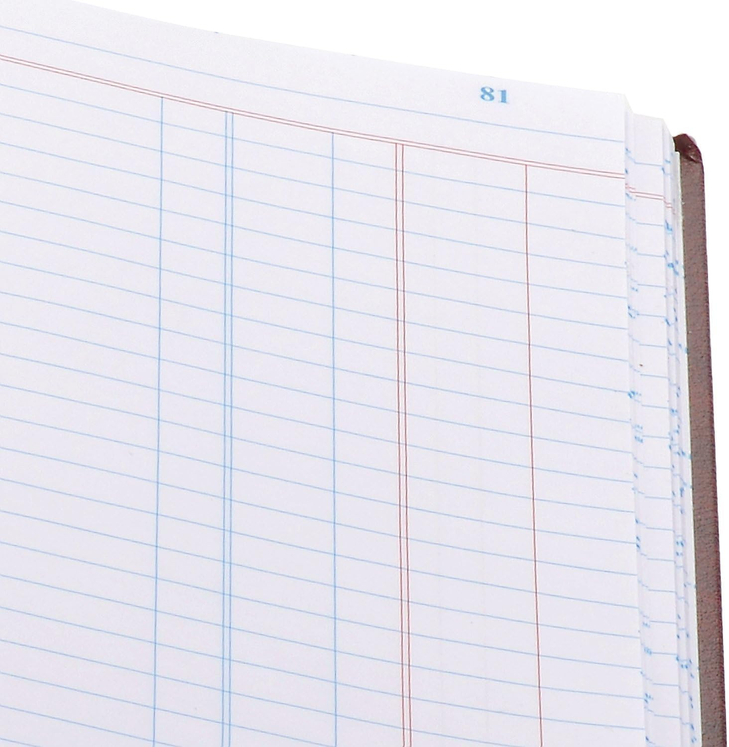 S300 Line Accounting Journal, Single Entry Ledger, 11.75 X 7.25 Inches, 150 Pag