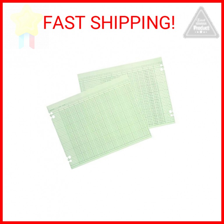 Wilson Jones G1020 Accounting Sheets, 20 Column, 9-1/4 x 11-7/8, Green (Pack of