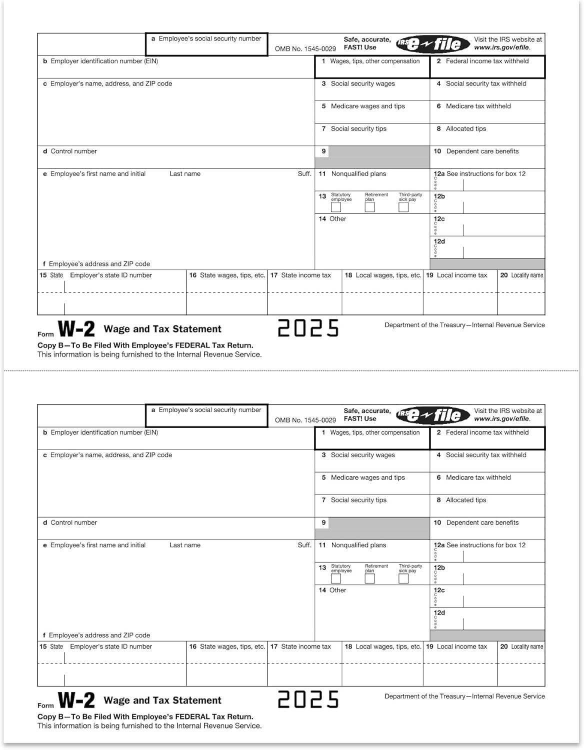 2025 W2 Tax Forms Kit with Envelopes – 25 Employee Set with W3 Forms