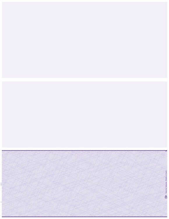 DLB833 Blank Laser Check Bottom Format – 500 checks
