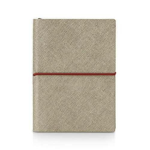 CHIAC 2019 Plus Metal Daily Diary, Platinum (Saffiano Metallic Cover)