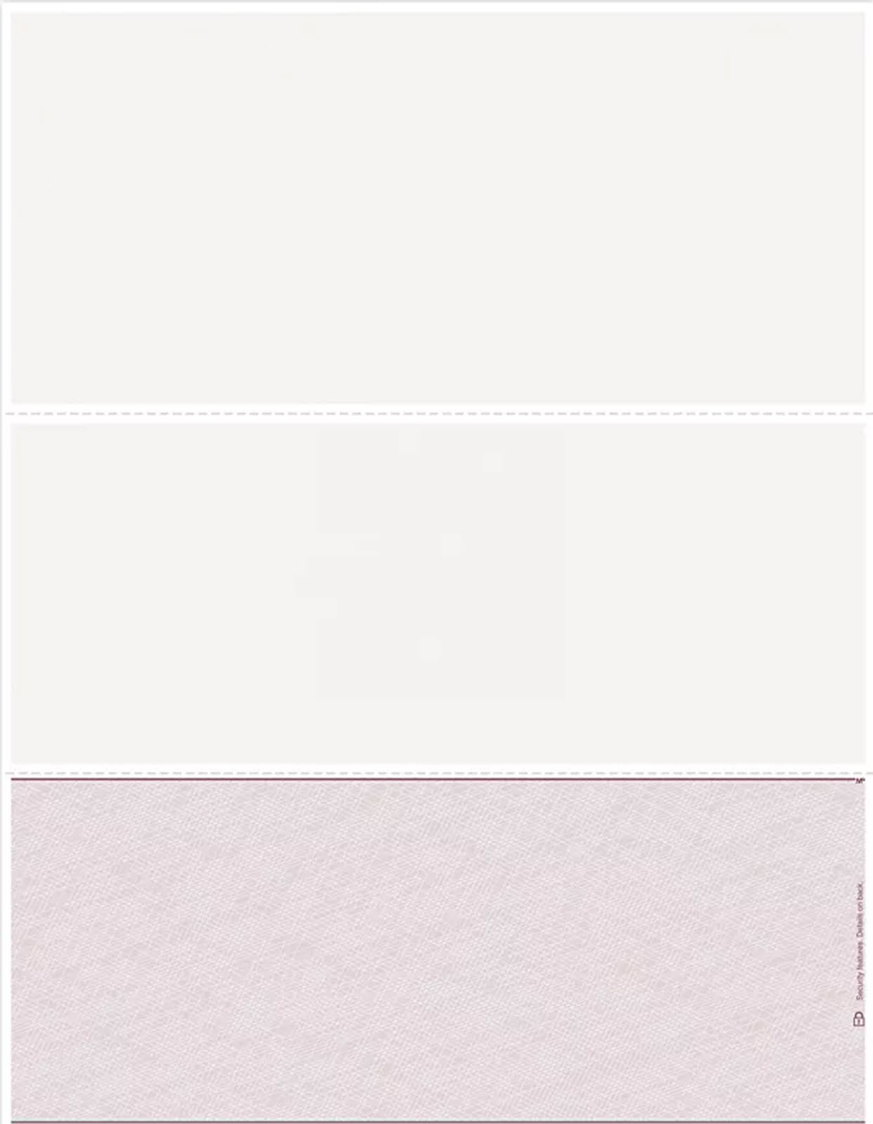 DLB833 Blank Laser Check Bottom Format – 500 checks
