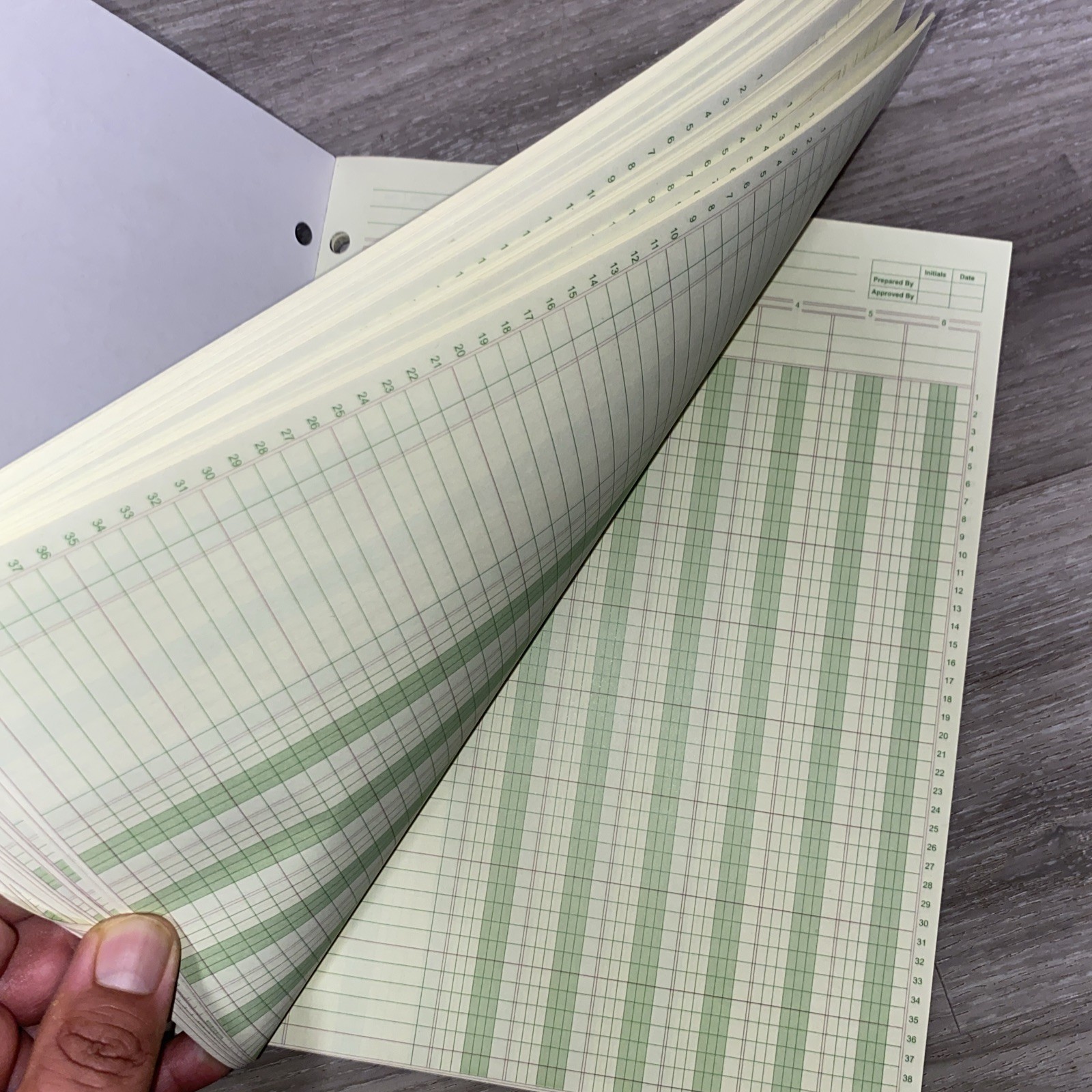 Norcom, Columnar Ledger Pad, 6 Columns, 8.5″ x 11″, Letter Size, 50 Sheets