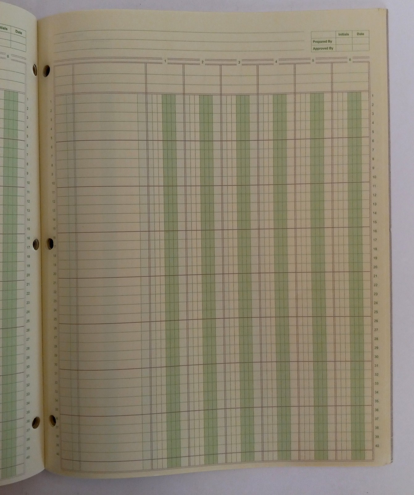 Ledger Pad 6 Columns 8.5 x 11 inch 50 Sheets Blank Lot of 2