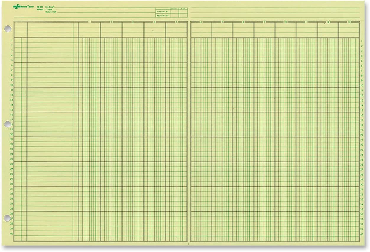 2 Pack – NATIONAL Analysis Pad, 13 Column, Green Paper, 11 X 16.375″, 100 Sheets