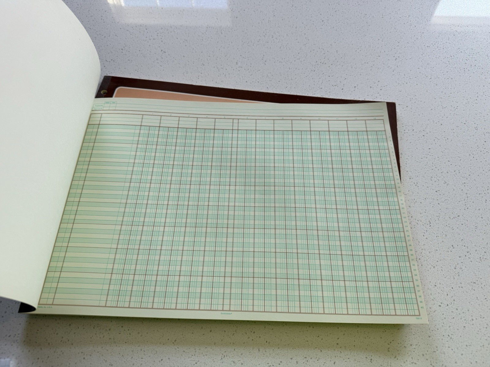Lot Of 2 Scribbletex Columnar Analysis Pad 13 Column, 11″ X 16 3/8″ 50 Sheets