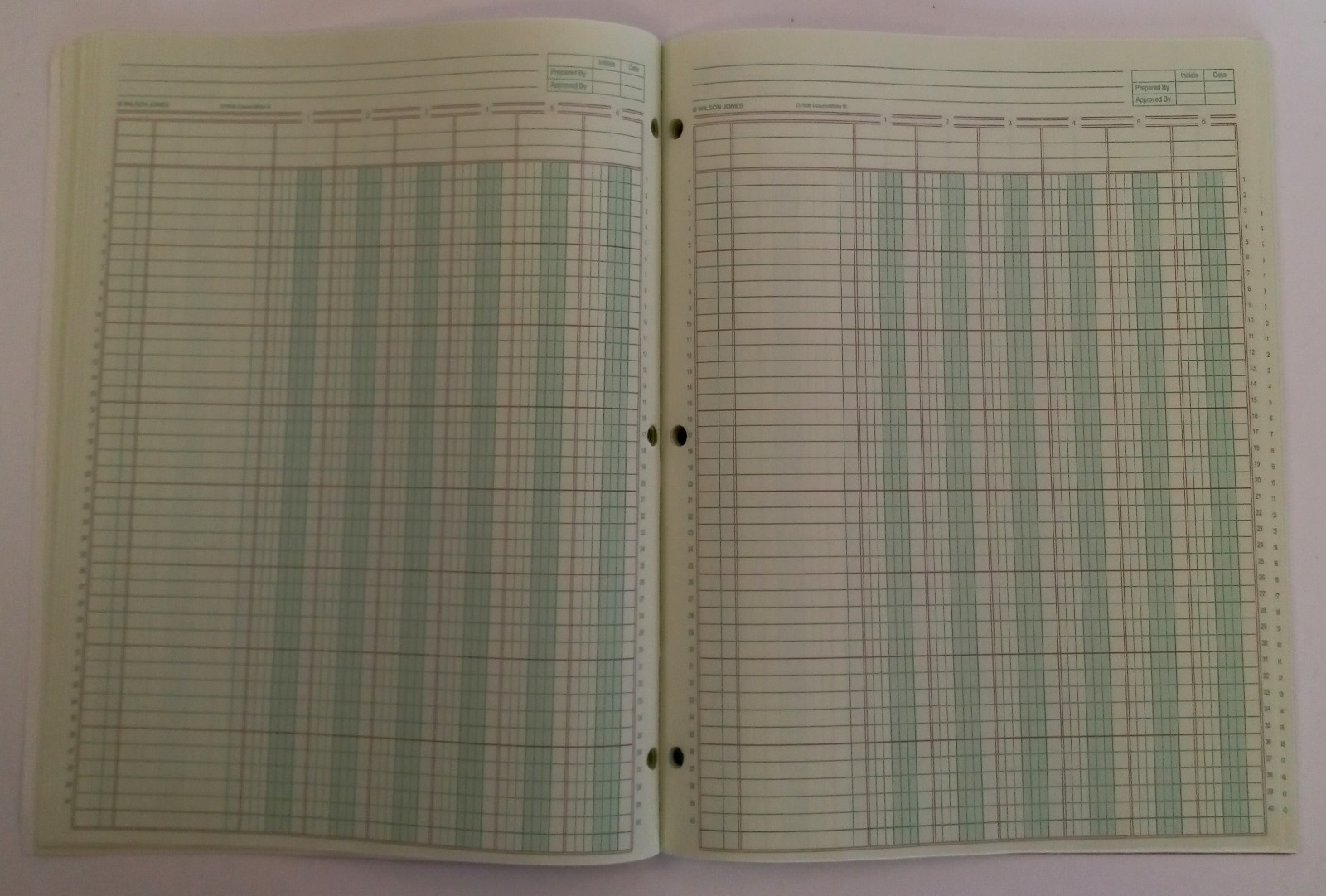 Ledger Pad 6 Columns 8.5 x 11 inch 50 Sheets Blank Lot of 2