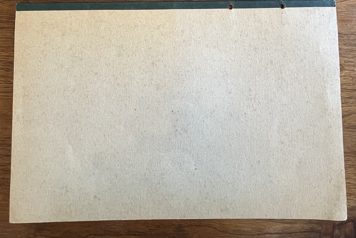 Vtg 1962 Wilson Jones Columnar Pad Write Analysis 13 Columns Green G7613A 11×17″