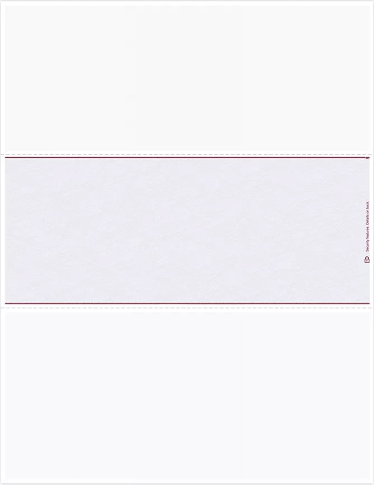 DLM832 Blank Laser Check Middle Format – 500 checks