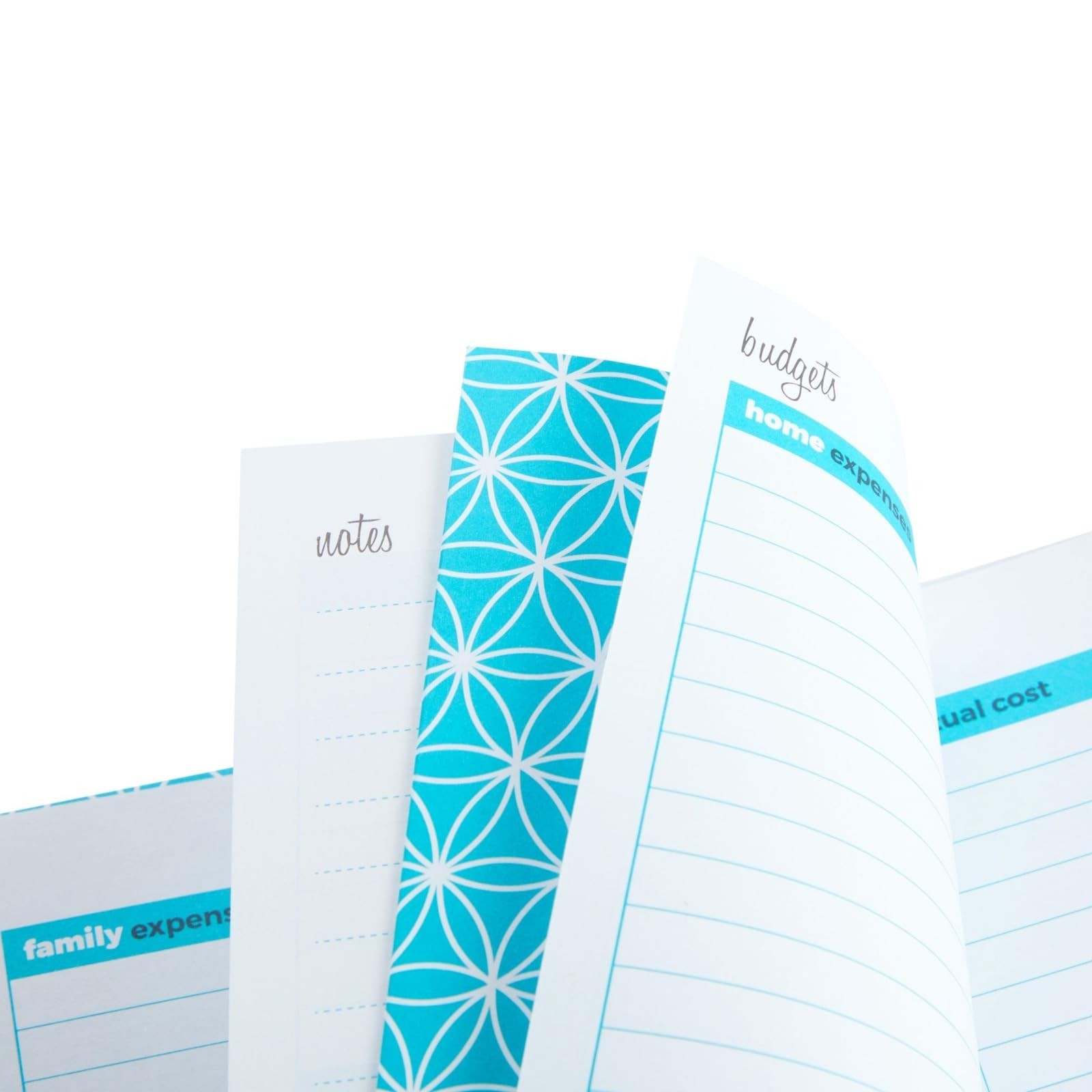 Paper Junkie Budget Planner 2026-8 x 10 In, Blue – Expense 8-x-10-inch,