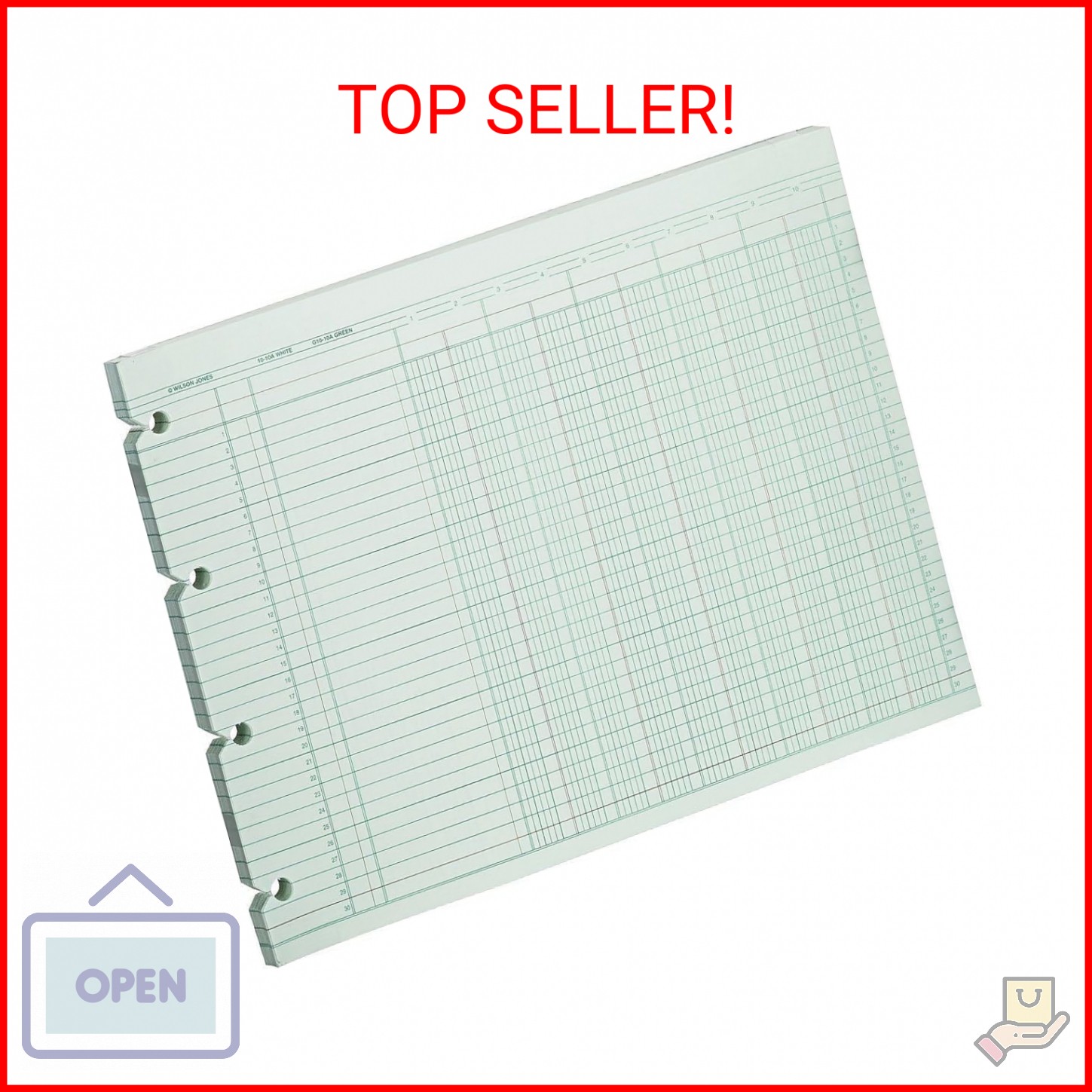 Wilson Jones G1010 Accounting Sheets, 10 Column, 9-1/4 x 11-7/8, Green (Pack of