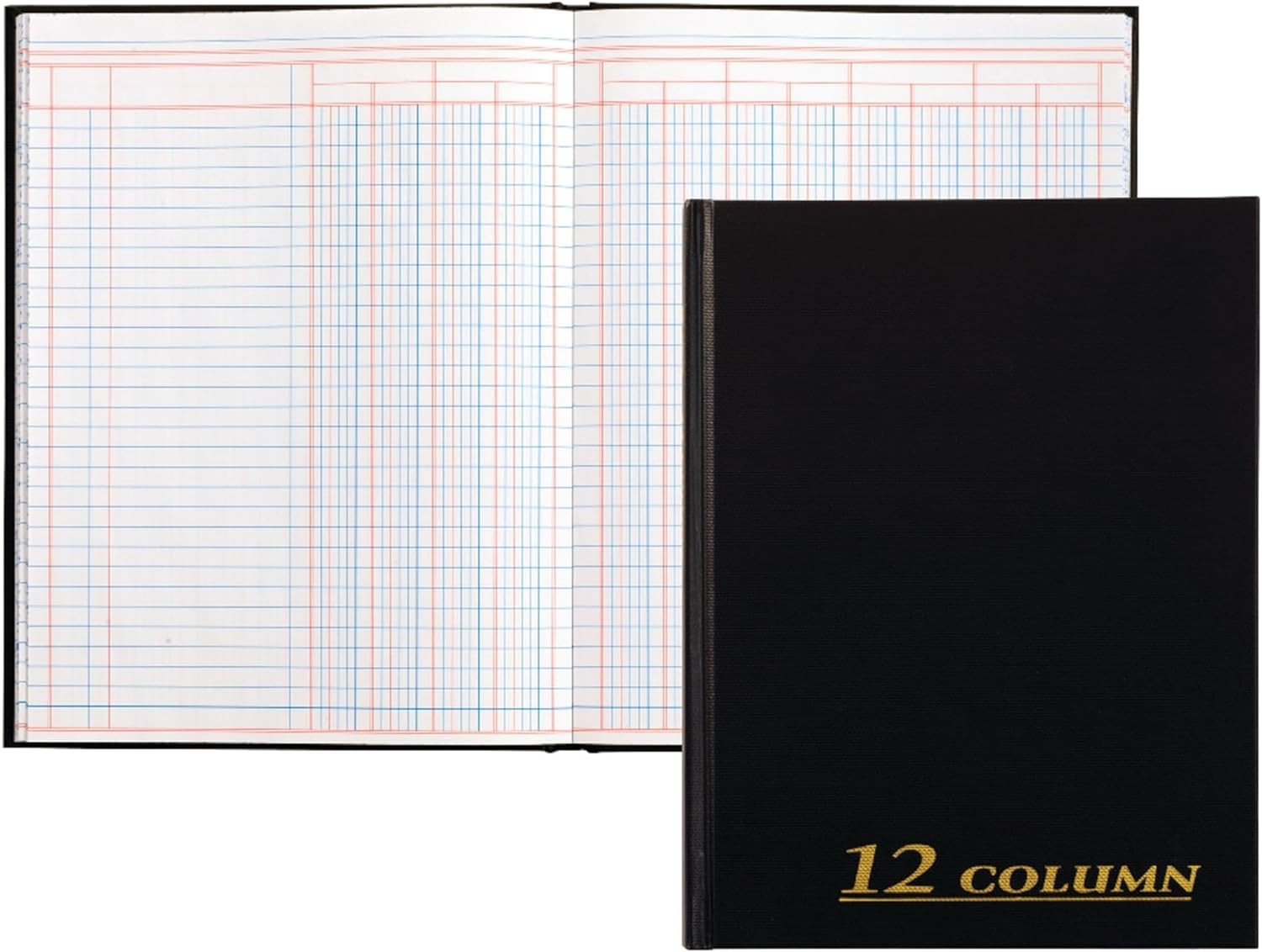 Account Book, 7 X 9.25 Inches, Black, 12-Columns, 80 Pages (ARB8012M)