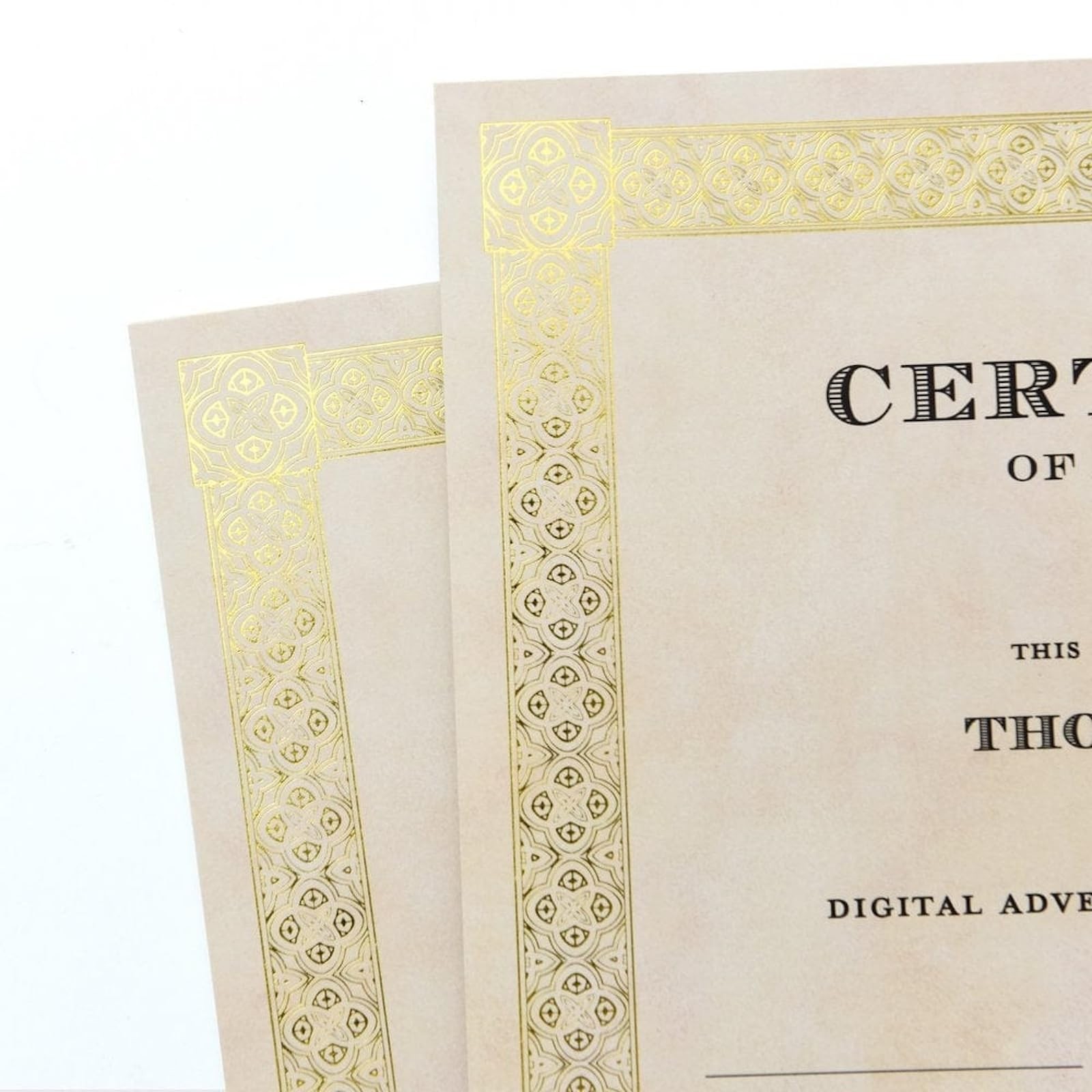Gartner Studios Gold Foil Parchment Certificate 15 Count, w/Gold
