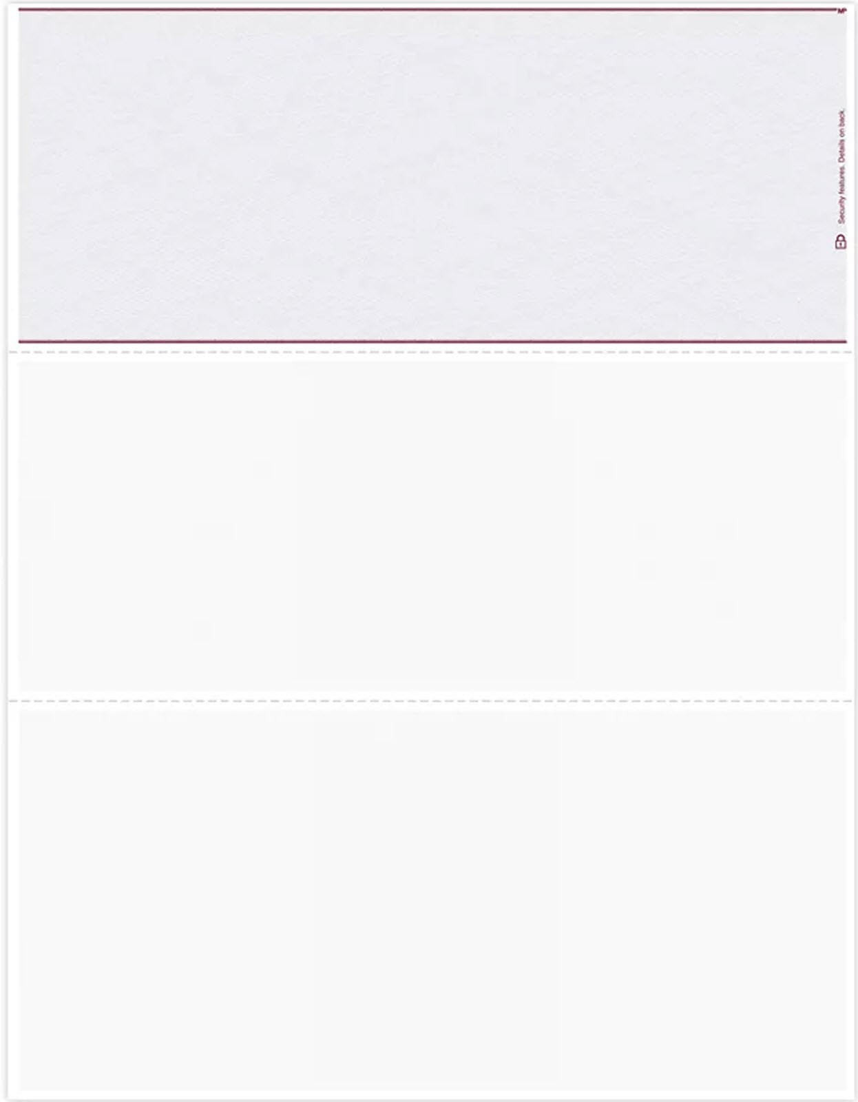 DLT831 Blank Laser Check Top Format – 500 checks