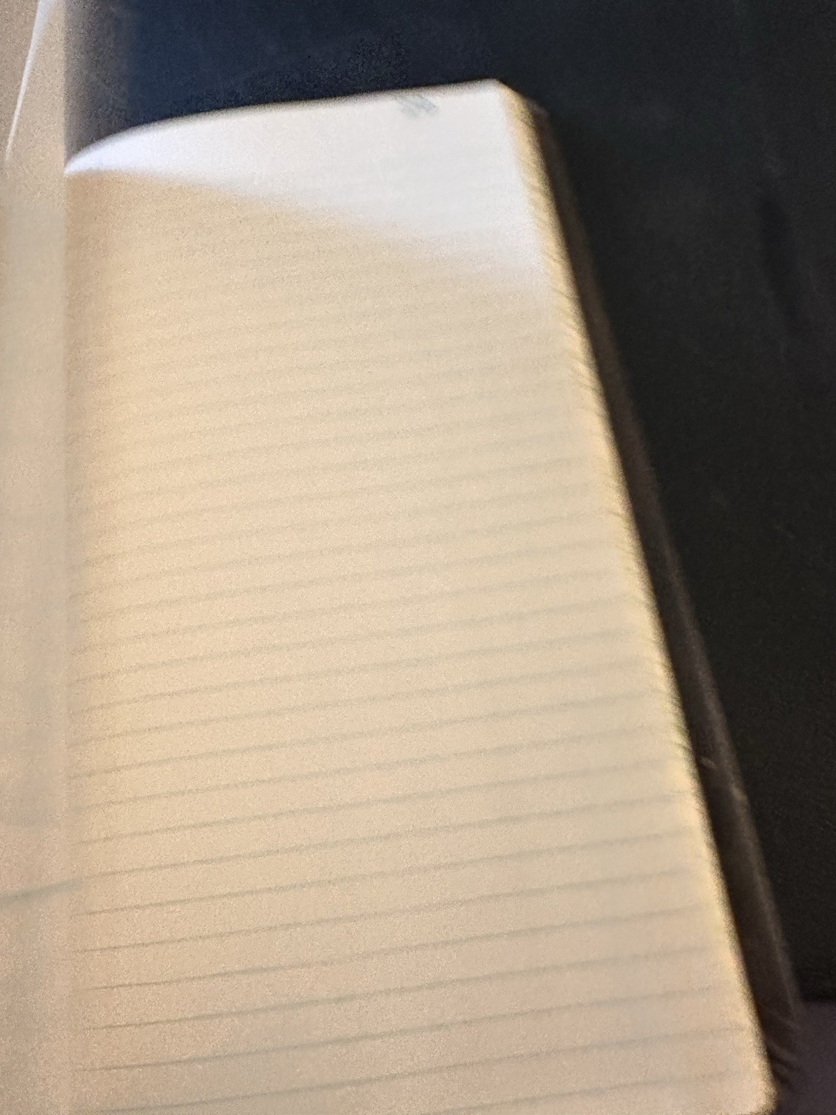 Vintage Record Ledger Book Never Used “202” Pages