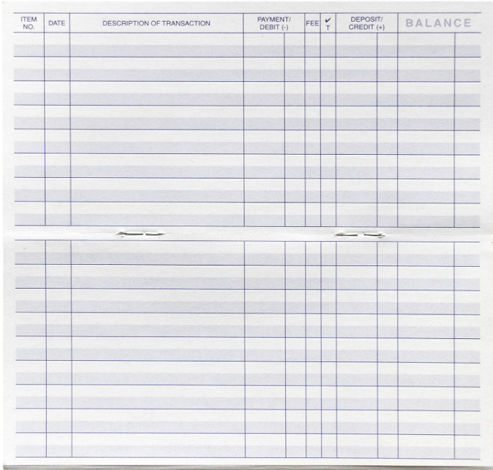 Checkbook Registers for Personal Checkbook, Ledgers, 2025-2026-2027, Pack of 10