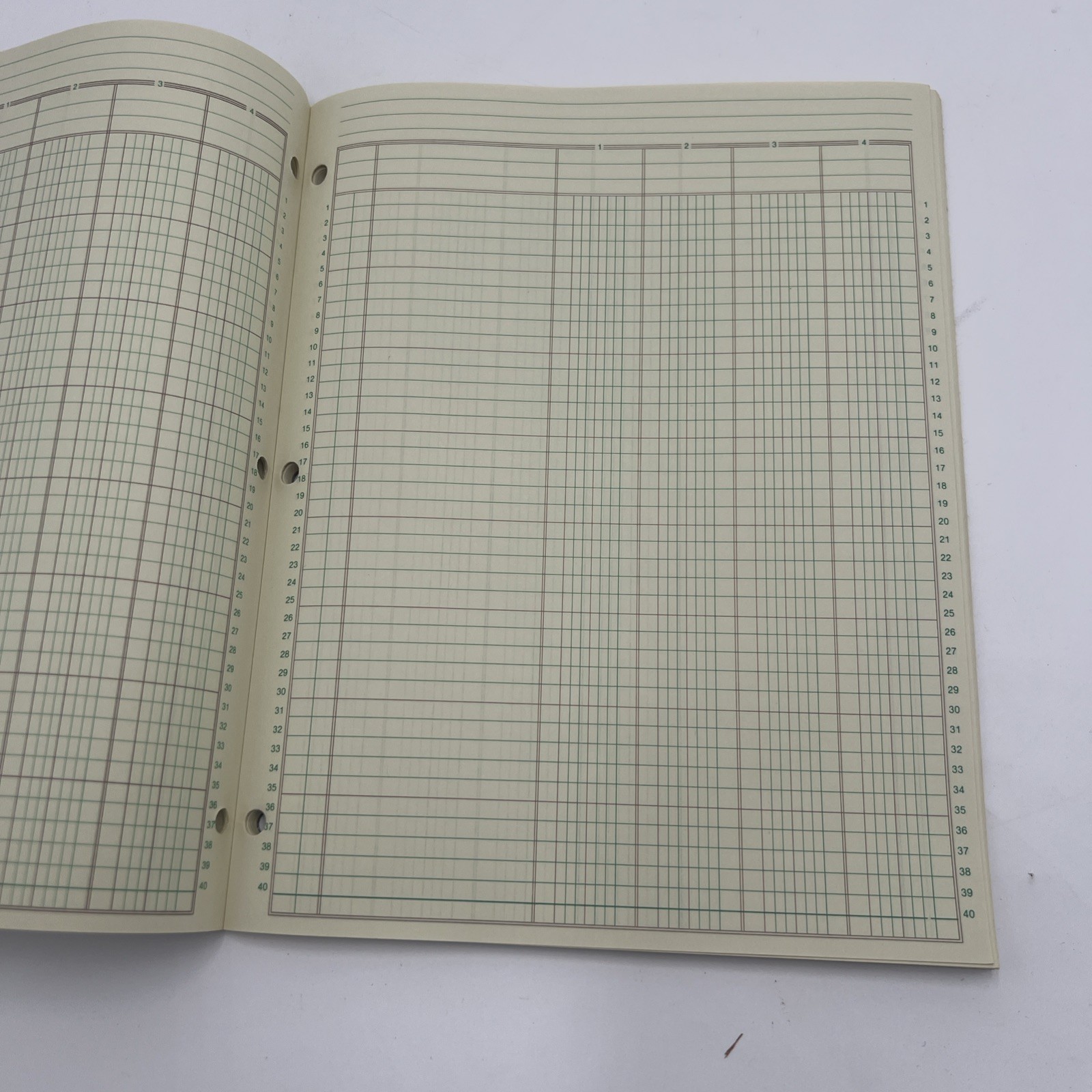 roaring springs 6 column analysis pad vintage 31 Sheets Accounting 81170 8.5×11